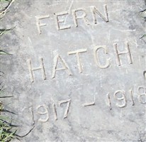 Fern Hatch