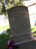 Fern Ingeborg Johnson