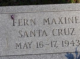 Fern Maxine Santa Cruz Fern Maxine Santa Cruz