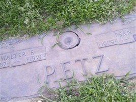 Fern Petz Fern Petz