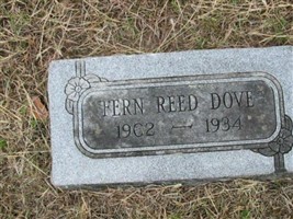 Fern Reed Dove Fern Reed Dove