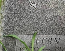 Fern Sarasio