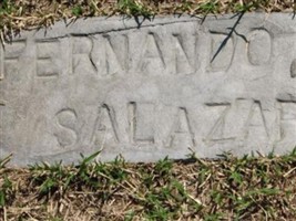 Fernando C Salazar Fernando C Salazar