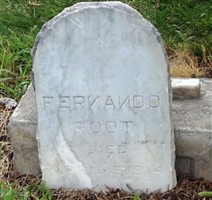 Fernando Root