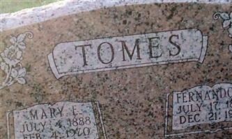 Fernando S Tomes