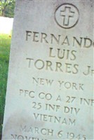 Fernando Torres Fernando Torres