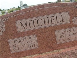 Ferne E. Mitchell