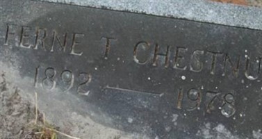 Ferne T. Chestnut Ferne T. Chestnut