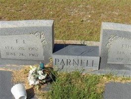 F. I. Parnell