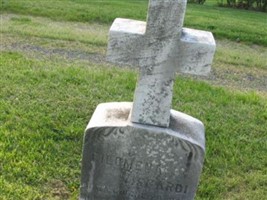 Filomena Viscardi