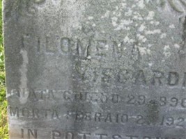 Filomena Viscardi