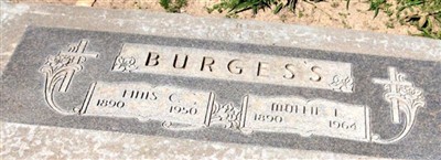 Finis C. Burgess