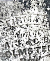 Firma Olmsted