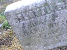 Flavel Eugene Wilson