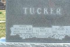 Flavia I. Tucker Flavia I. Tucker