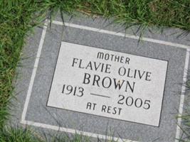 Flavie Olive Brown Brown