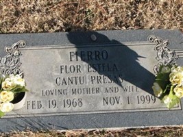 Flor Estela Cantu Fierro