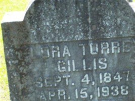 Flora Ann Torrey Gillis