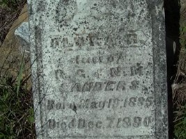Flora R Sanders Flora R Sanders