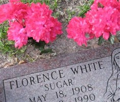 Florence "Flo" Batty White Florence "Flo" Batty White