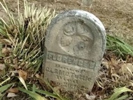 Florence L Tuttle Florence L Tuttle