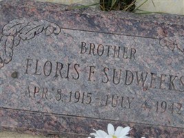 Floris F Sudweeks