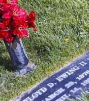 Floyd D Ewing, II