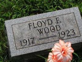 Floyd Fent Wood