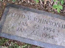 Floyd Vernon Johnson, III