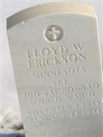 Floyd W Erickson