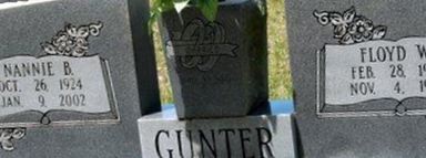 Floyd W Gunter