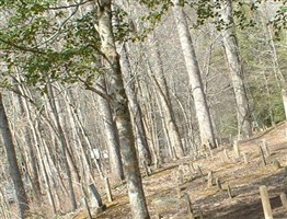Forks of River Cemetery