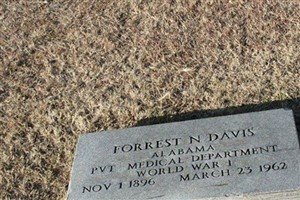 Forrest N Davis Forrest N Davis
