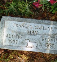 Fraces Carlene May