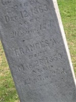 Frances Ann Niles