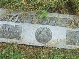 Frances Avoca Johnson Ford Frances Avoca Johnson Ford