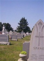 Frances D Spano Frances D Spano