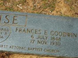 Frances Elizabeth Goodwin Wise