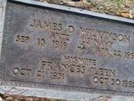 Frances Ileen Wilkinson