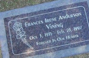 Frances Irene Anderson Vining