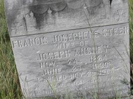 Frances Josephene Steen Ansley