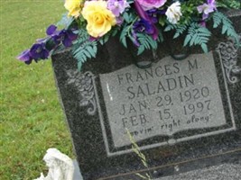Frances Mae Truitt Saladin