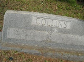 Frances Matilda Gantt Collins