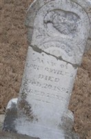 Frances Pendleton Wiles Frances Pendleton Wiles