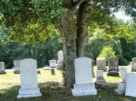 Frances Virginia Andrews