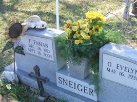 Francis Fabian Sneiger Francis Fabian Sneiger