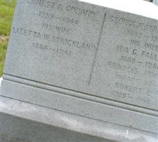 Francis Irvine Strickland