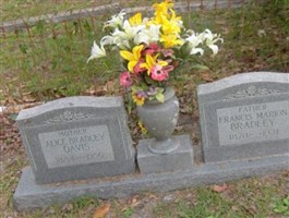 Francis Marion Bradley Francis Marion Bradley
