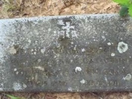 Francis Marion Felts