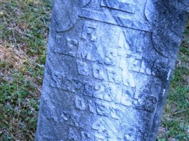 Francis Marion Lemasters Francis Marion Lemasters